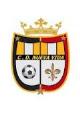 Club crest