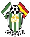 Club crest