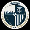 Club crest