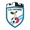 Club crest