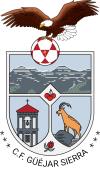 Club crest