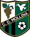 Club crest