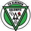 Club crest