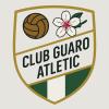 Club crest
