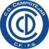 Club crest