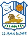 Club crest