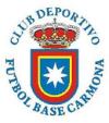 Club crest