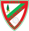 Club crest