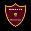 Club crest