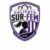 Club crest