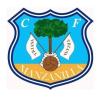 Club crest