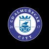Club crest
