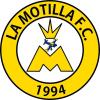 Club crest