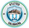 Club crest