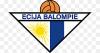 Club crest