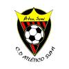 Club crest