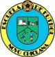 Club crest