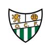 Club crest