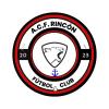 Club crest