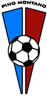 Club crest