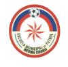 Club crest