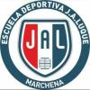 Club crest