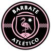 Club crest