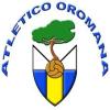 Club crest