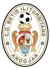 Club crest