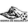 Club crest
