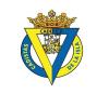Club crest
