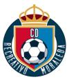 Club crest