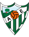 Club crest