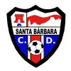 Club crest