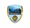 Club crest