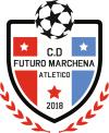 Club crest