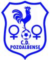 Club crest