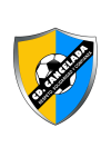 Club crest