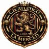 Club crest