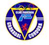 Club crest