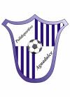 Club crest