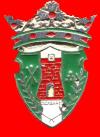 Club crest