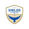 Club crest