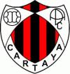 Club crest