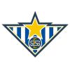 Club crest