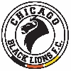 Club crest