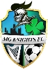 Club crest