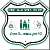 Club crest