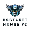 Club crest