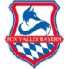 Club crest